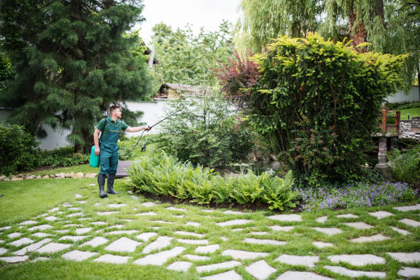 Trusted Mead Valley, CA Pest Control Experts