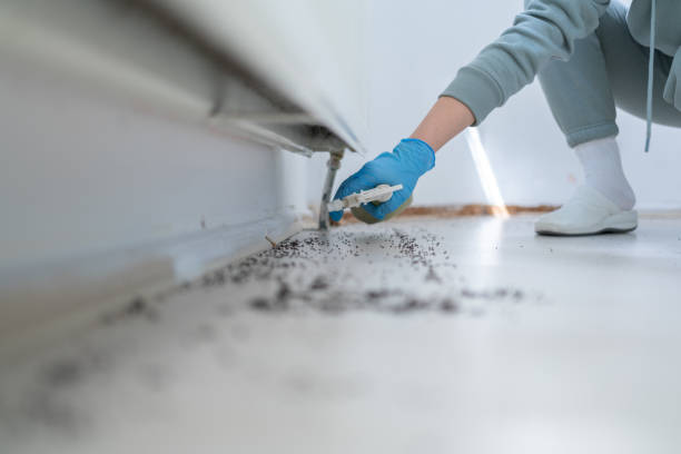 Mead Valley, CA Pest Control Company